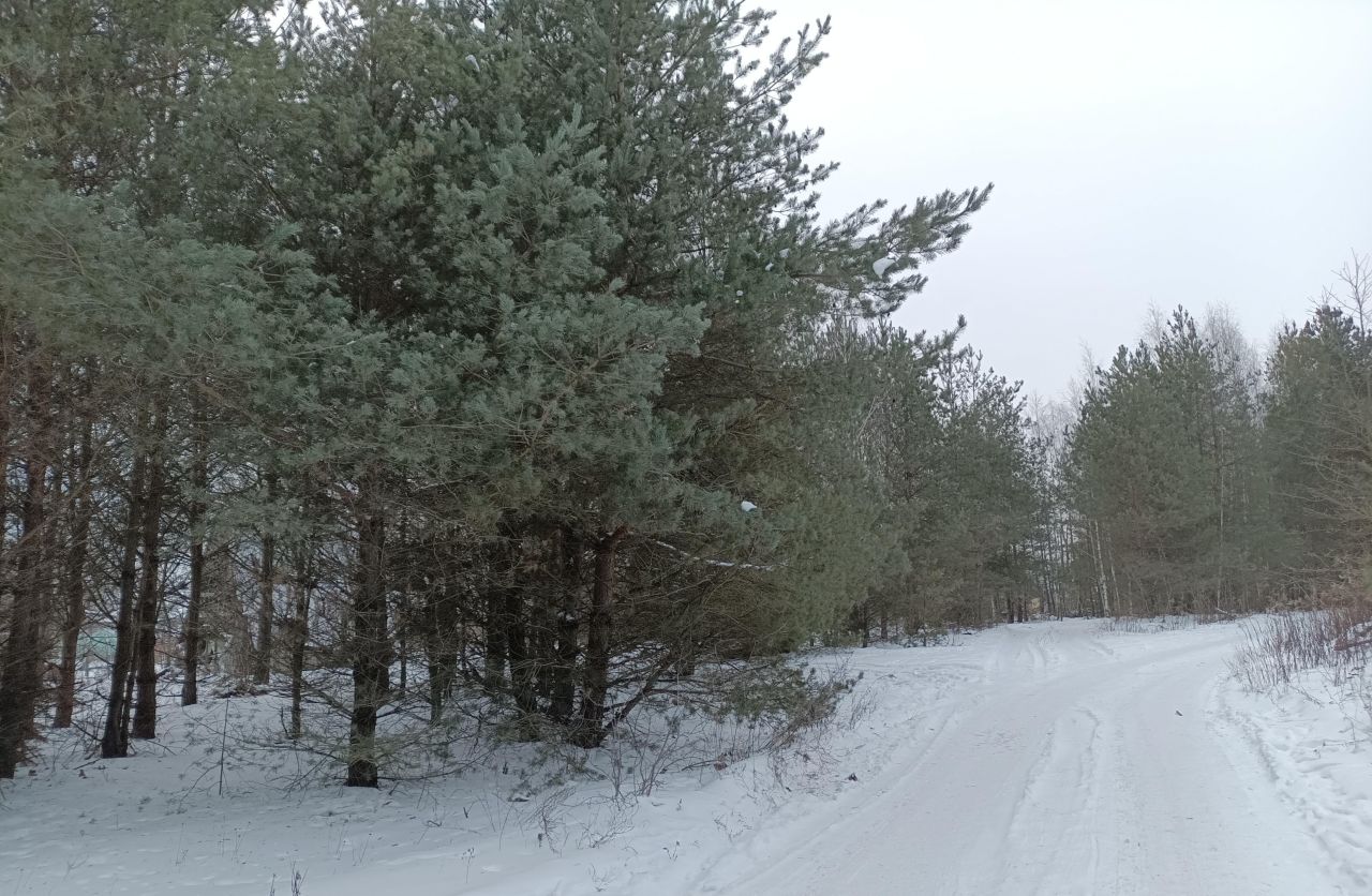 Działka rod Białystok Bagnówka, ul. Krzysztofa Pendereckiego. Zdjęcie 20