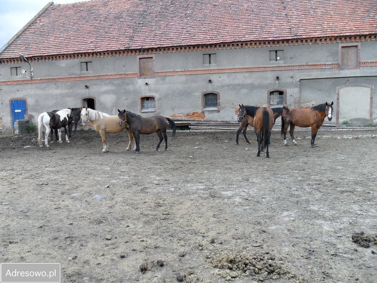 Hala/magazyn Młynica. Zdjęcie 3