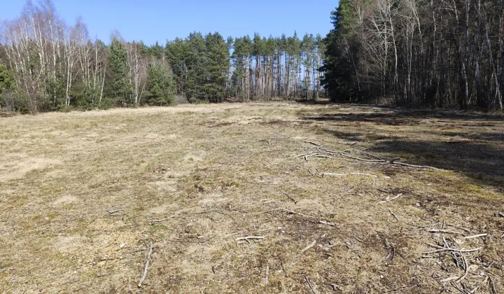 Działka rolna Reduchów-Kolonia