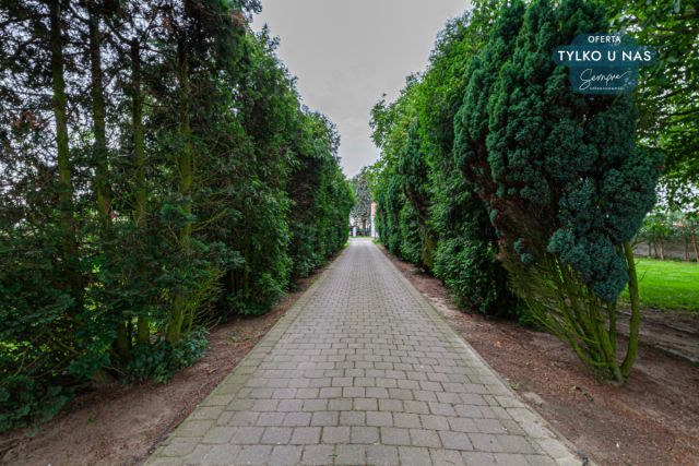 dom wolnostojący, 4 pokoje Sędzice. Zdjęcie 8