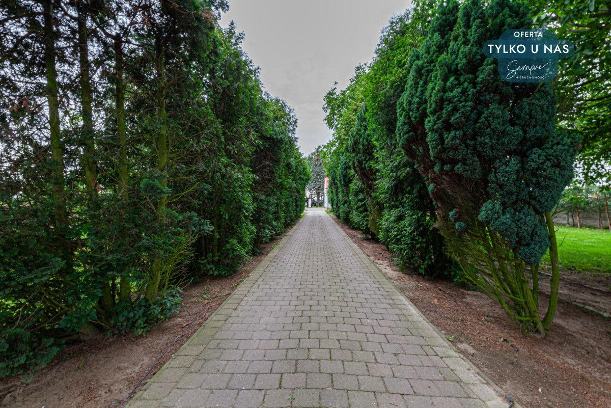 dom wolnostojący, 4 pokoje Sędzice. Zdjęcie 8