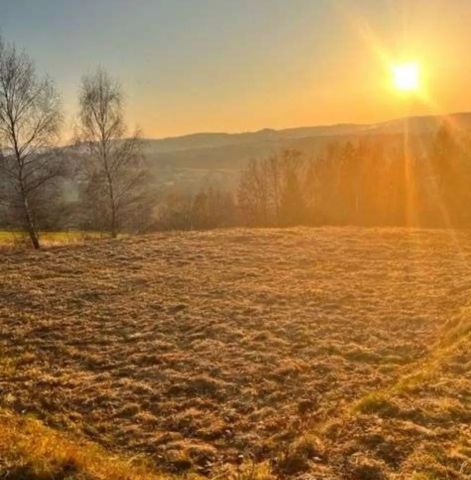 Działka budowlana Głogoczów. Zdjęcie 1
