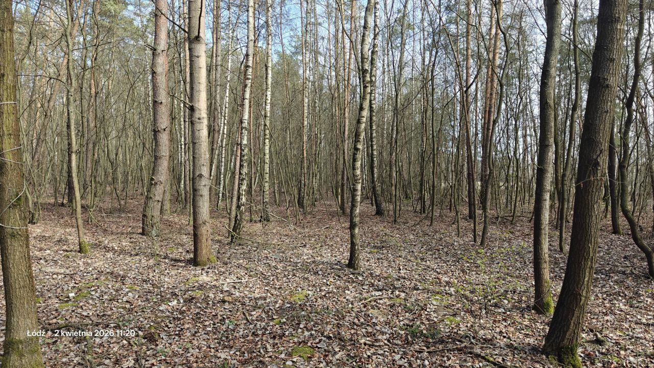 Działka rekreacyjna Łódź Feliksin, ul. Ziemiańska. Zdjęcie 3