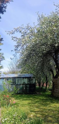 Działka rod Lubin, ul. Spacerowa. Zdjęcie 1