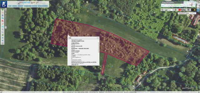 Działka rolna Nowy Borek. Zdjęcie 1