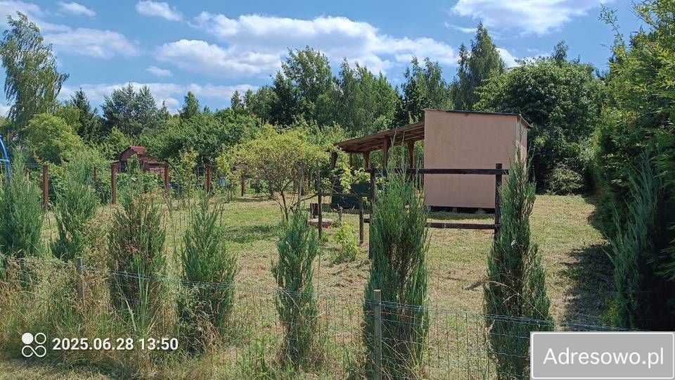 Działka rod Lubin. Zdjęcie 2