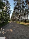 Działka leśna Leśniów Wielki. Zdjęcie 1
