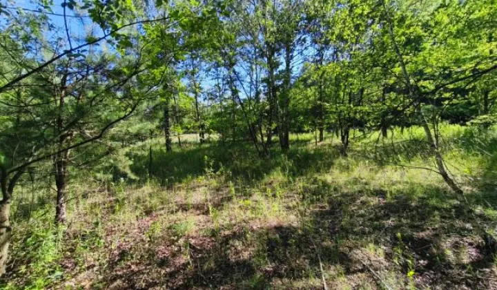 Działka budowlana Pyskowice, ul. Wiejska