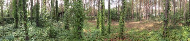 Działka budowlana Nowe Załubice, ul. Wiolinowa. Zdjęcie 6