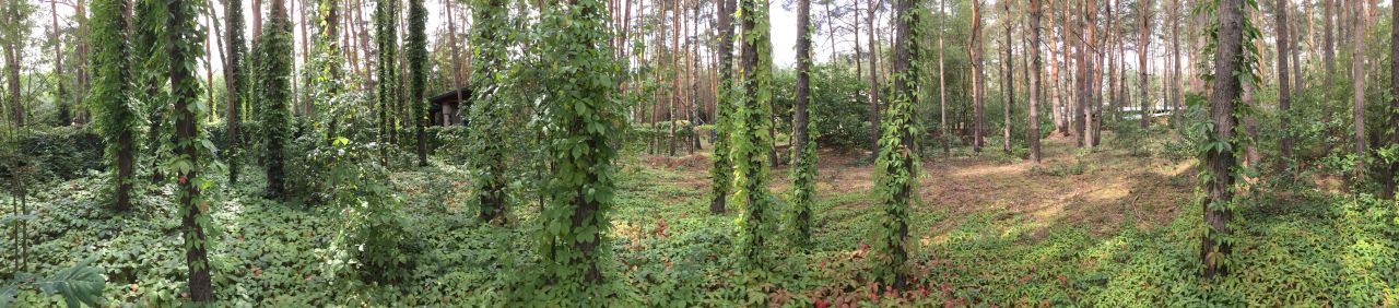 Działka budowlana Nowe Załubice, ul. Wiolinowa. Zdjęcie 6