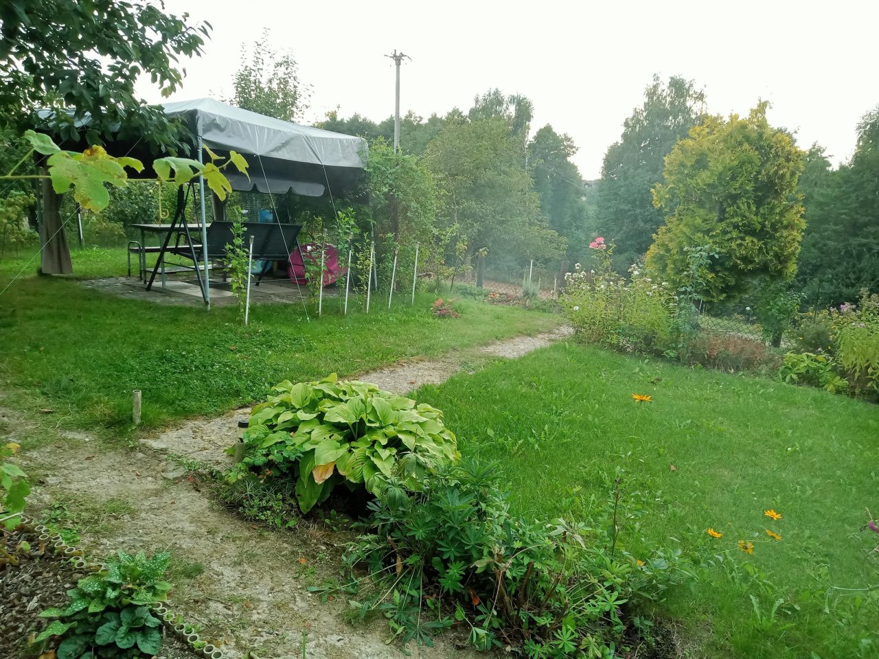 Działka rod Jastrzębie-Zdrój, ul. Stodoły. Zdjęcie 8