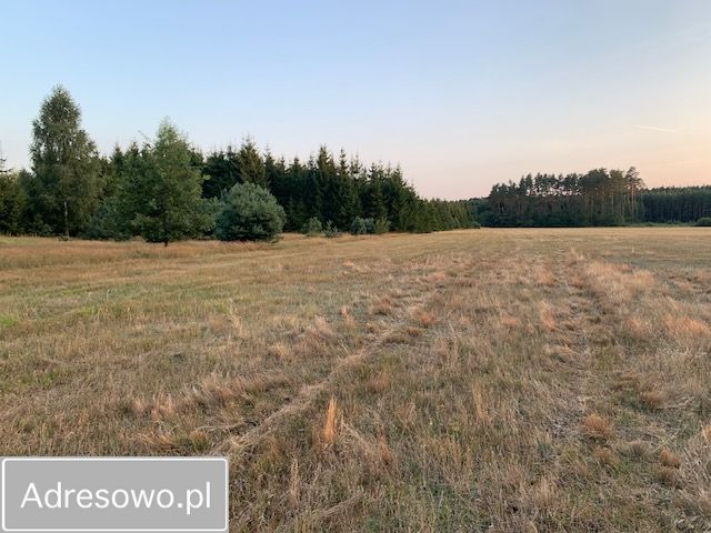 Działka rolna Rzystnowo. Zdjęcie 17