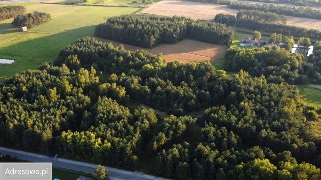 Działka budowlana Olszewice. Zdjęcie 1