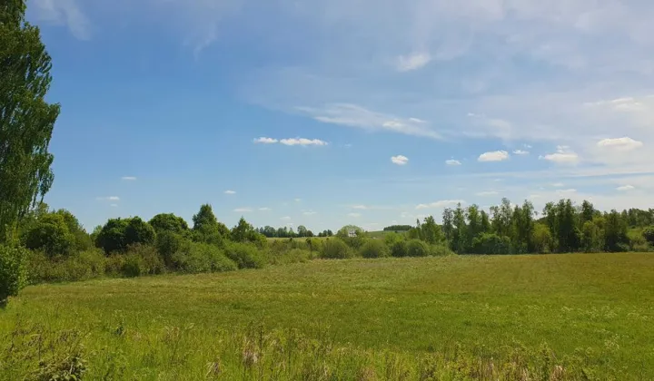 Działka rekreacyjna Dąbrowa