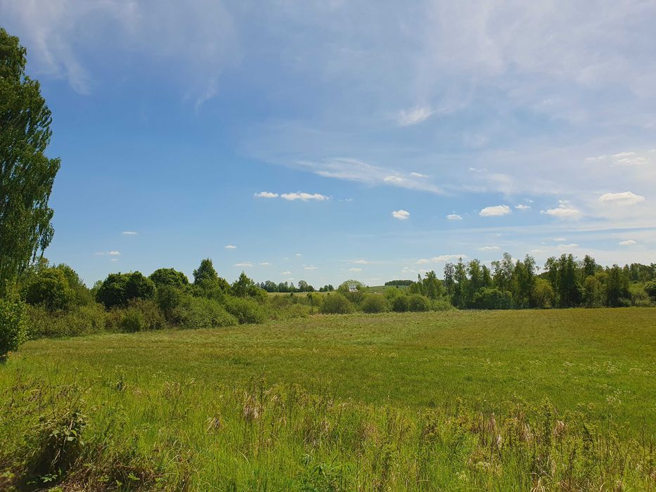 Działka rekreacyjna Dąbrowa