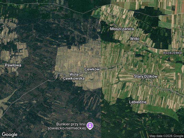 Działka rolna Cewków. Zdjęcie 1