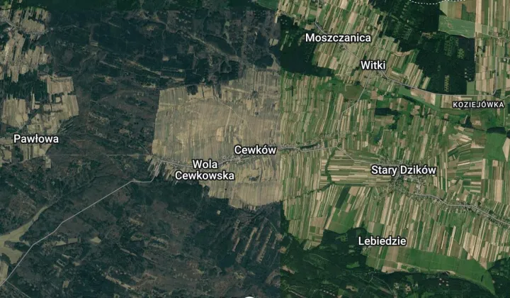 Działka rolna Cewków