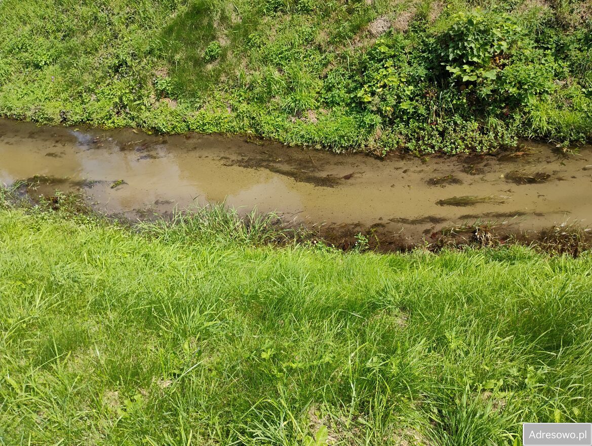 Działka budowlana Góra Świętej Anny. Zdjęcie 6