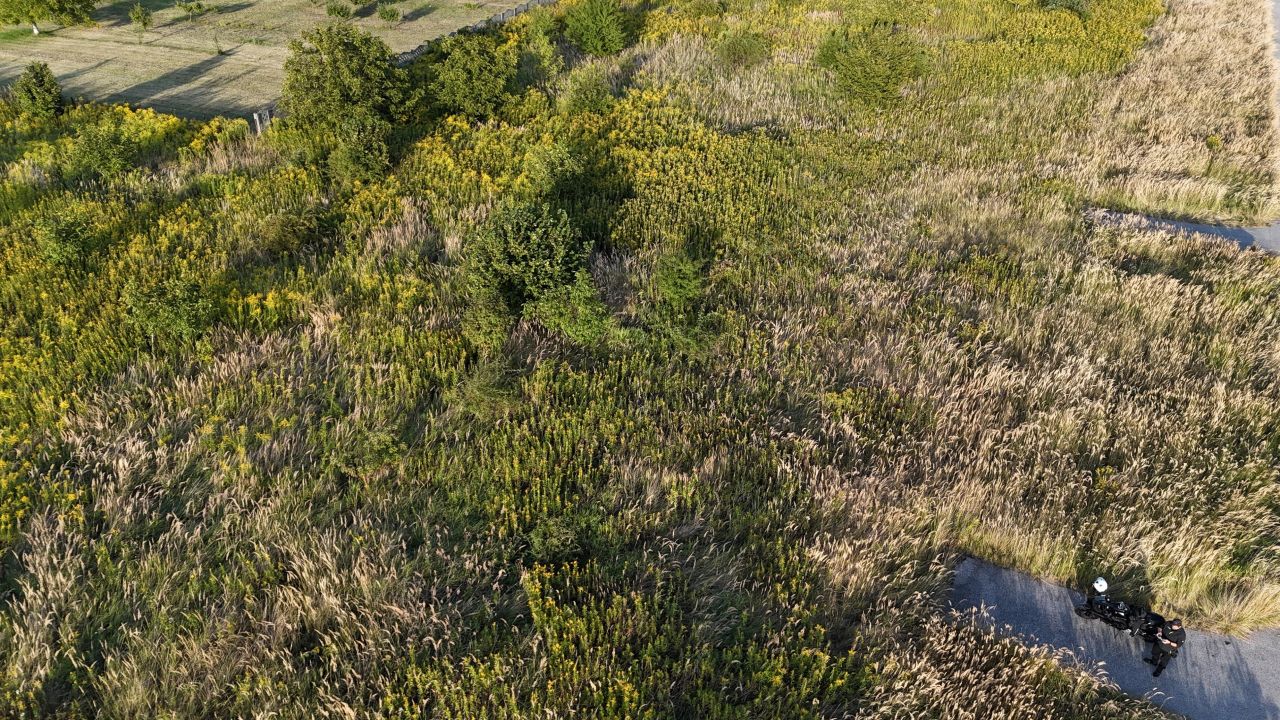 Działka rolna Opacz-Kolonia, ul. Zofii. Zdjęcie 7