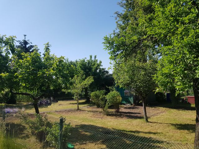 Działka rod Wrocław Fabryczna, ul. Bystrzycka. Zdjęcie 1