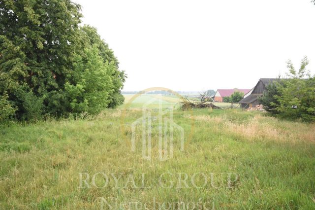 Działka Ostrówek. Zdjęcie 6