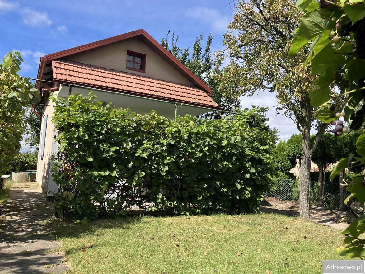 Działka rod Kalisz Szczypiorno, ul. Pogodna. Zdjęcie 9