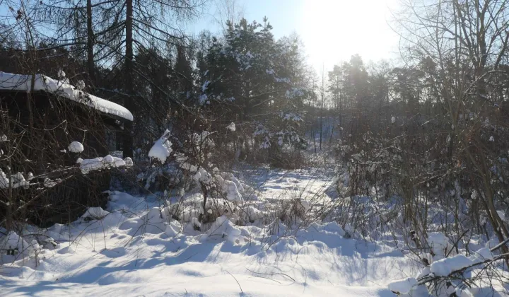 Działka siedliskowa Kozieniec