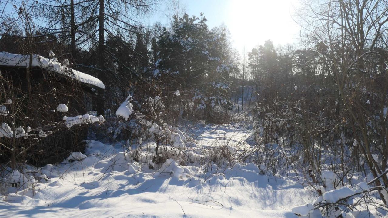 Działka siedliskowa Kozieniec. Zdjęcie 1