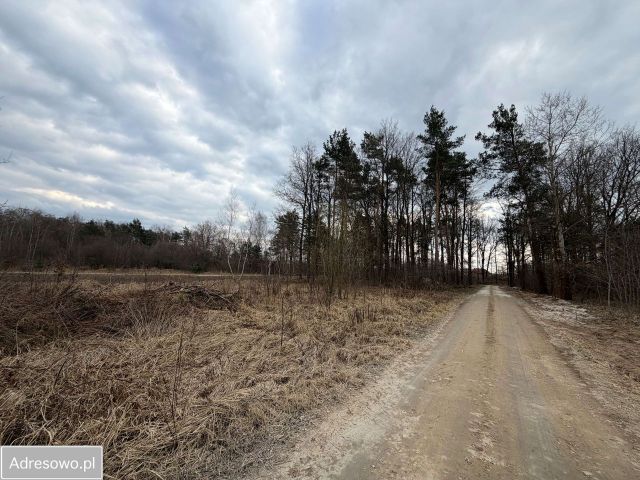 Działka budowlana Jarosty, ul. Kwiatowa. Zdjęcie 1