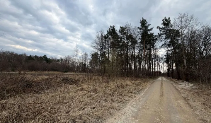 Działka budowlana Jarosty, ul. Kwiatowa