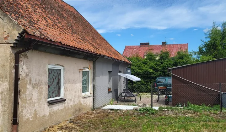 bliźniak Kocibórz