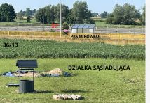 Działka rolno-budowlana Orłowo. Zdjęcie 3