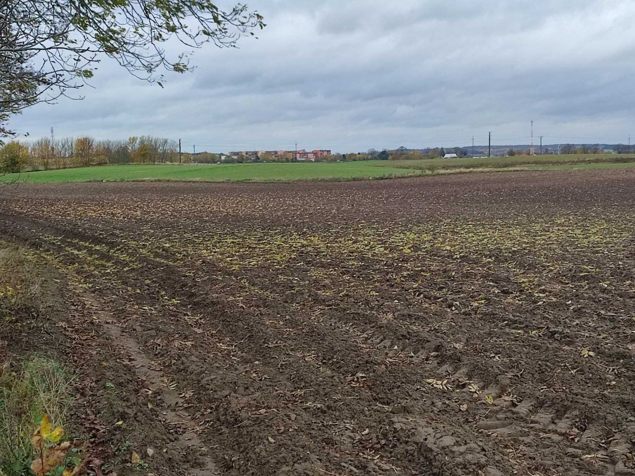 Działka rolna Czaplinek, ul. Pławieńska. Zdjęcie 4