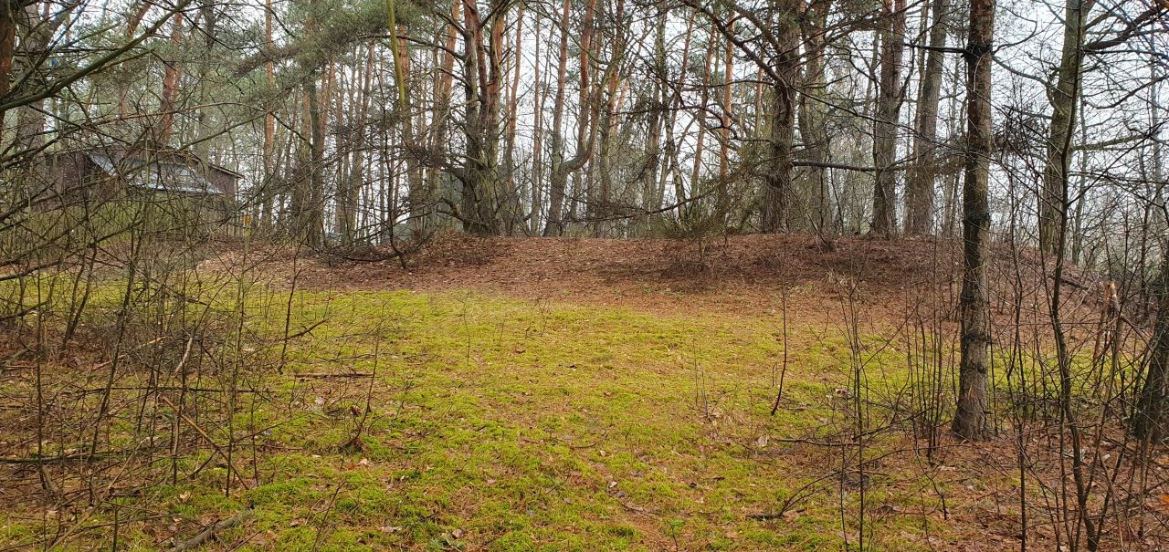 Działka rekreacyjna Nowe Łachy. Zdjęcie 16