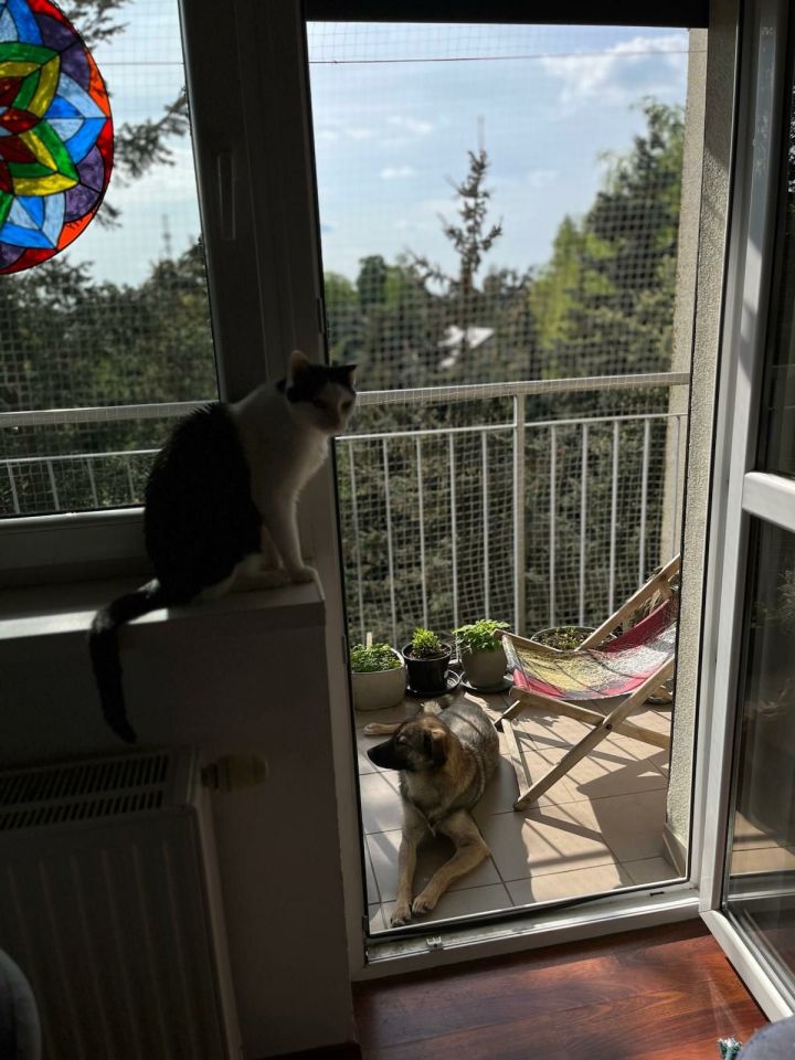 Mieszkanie 3-pokojowe Rawicz, ul. Zofii Ryblewskiej-Cichońskiej. Zdjęcie 3