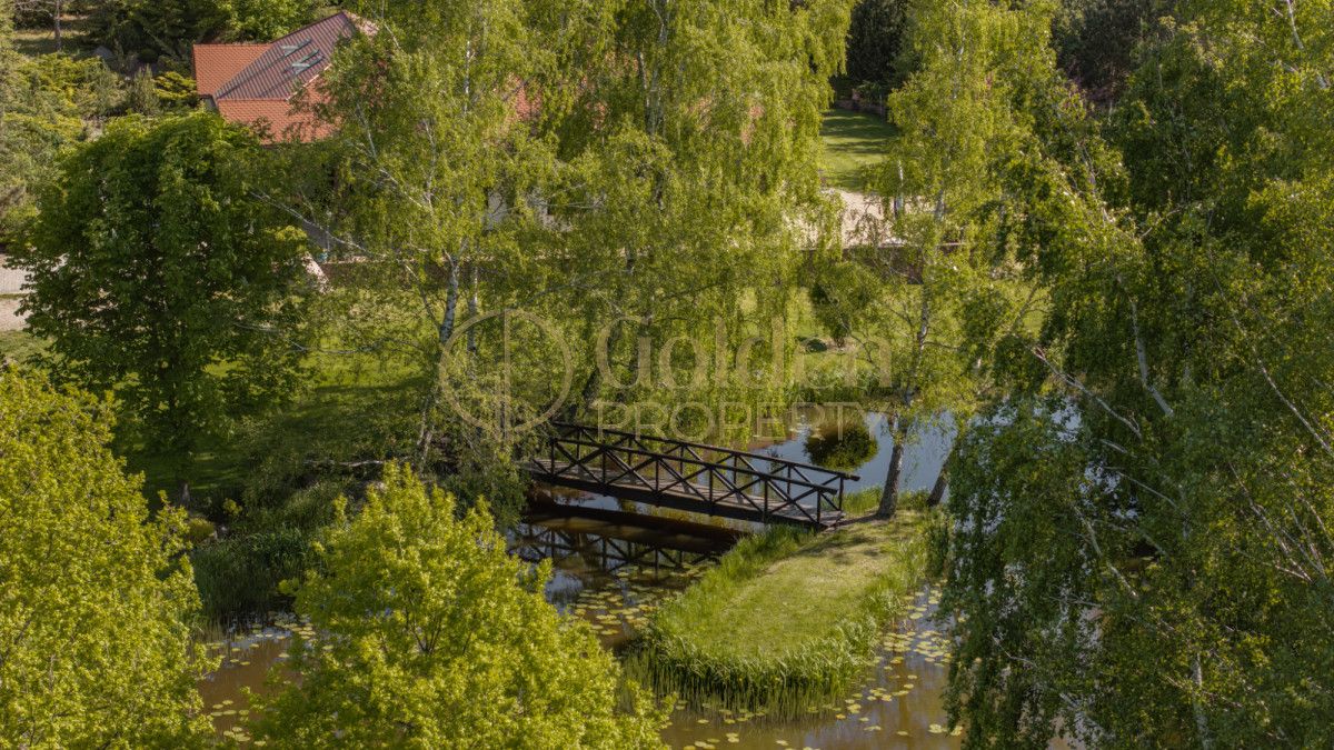 dom wolnostojący, 8 pokoi Przyjaźń, ul. Nowowiejska. Zdjęcie 10