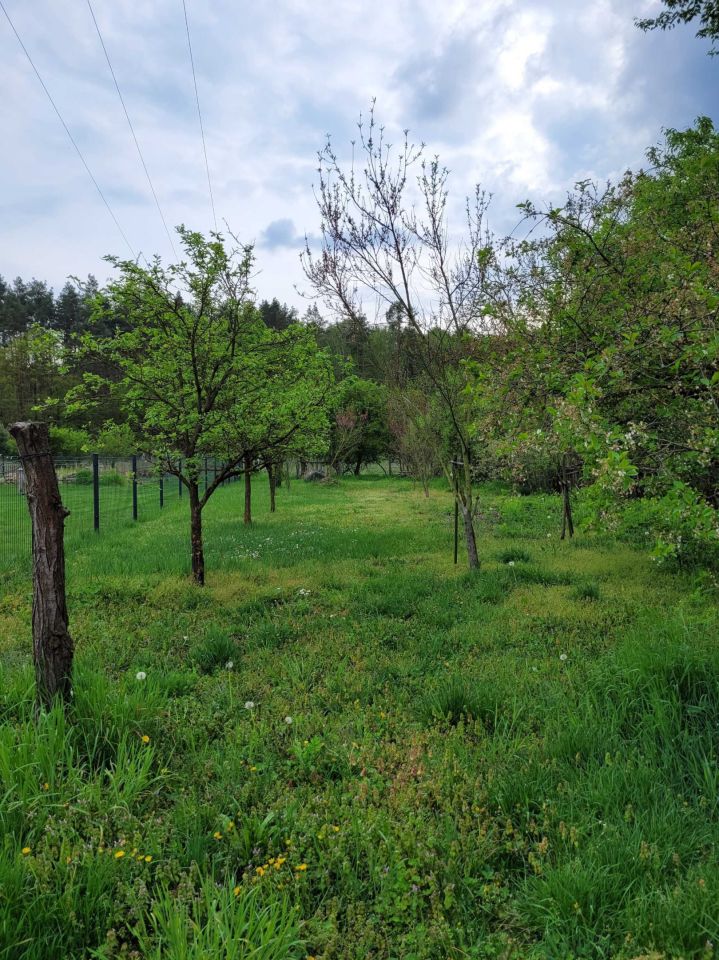 bliźniak Krasne Dłusko. Zdjęcie 3