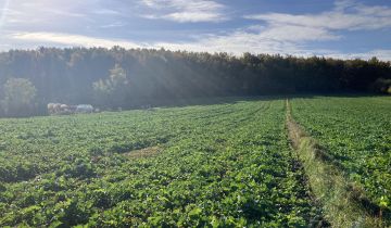 Działka budowlana Piekary Śląskie Kozłowa Góra, ul. Alfonsa Zgrzebnioka