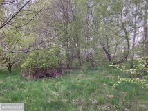 Działka budowlana Jagatowo, ul. Maślakowa. Zdjęcie 4