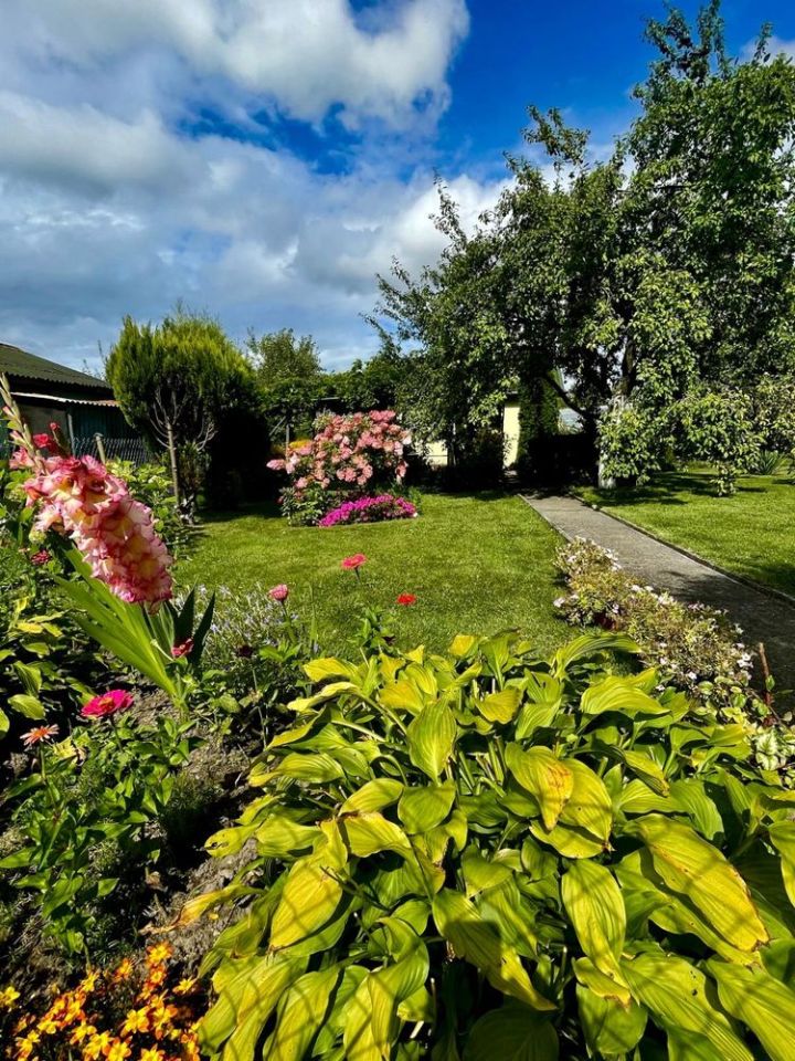 Działka rod Stargard, ul. Gdańska. Zdjęcie 5