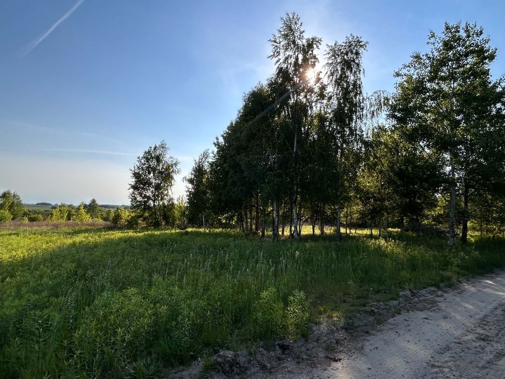 Działka budowlana Barcice Drwalewskie. Zdjęcie 4