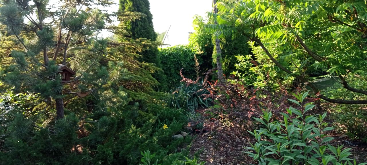 Działka budowlana Kaletnik, ul. Kościelna. Zdjęcie 5