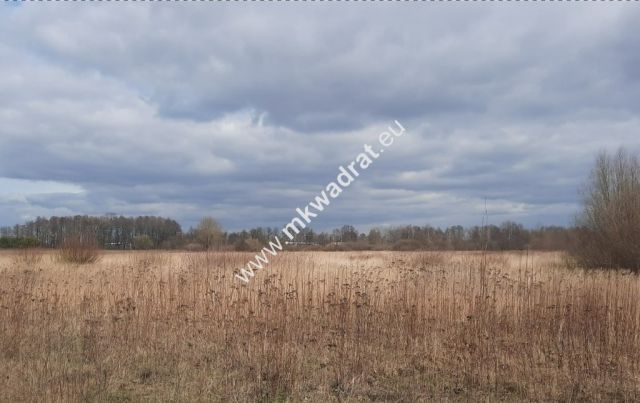 Działka inwestycyjna Janczewice. Zdjęcie 2