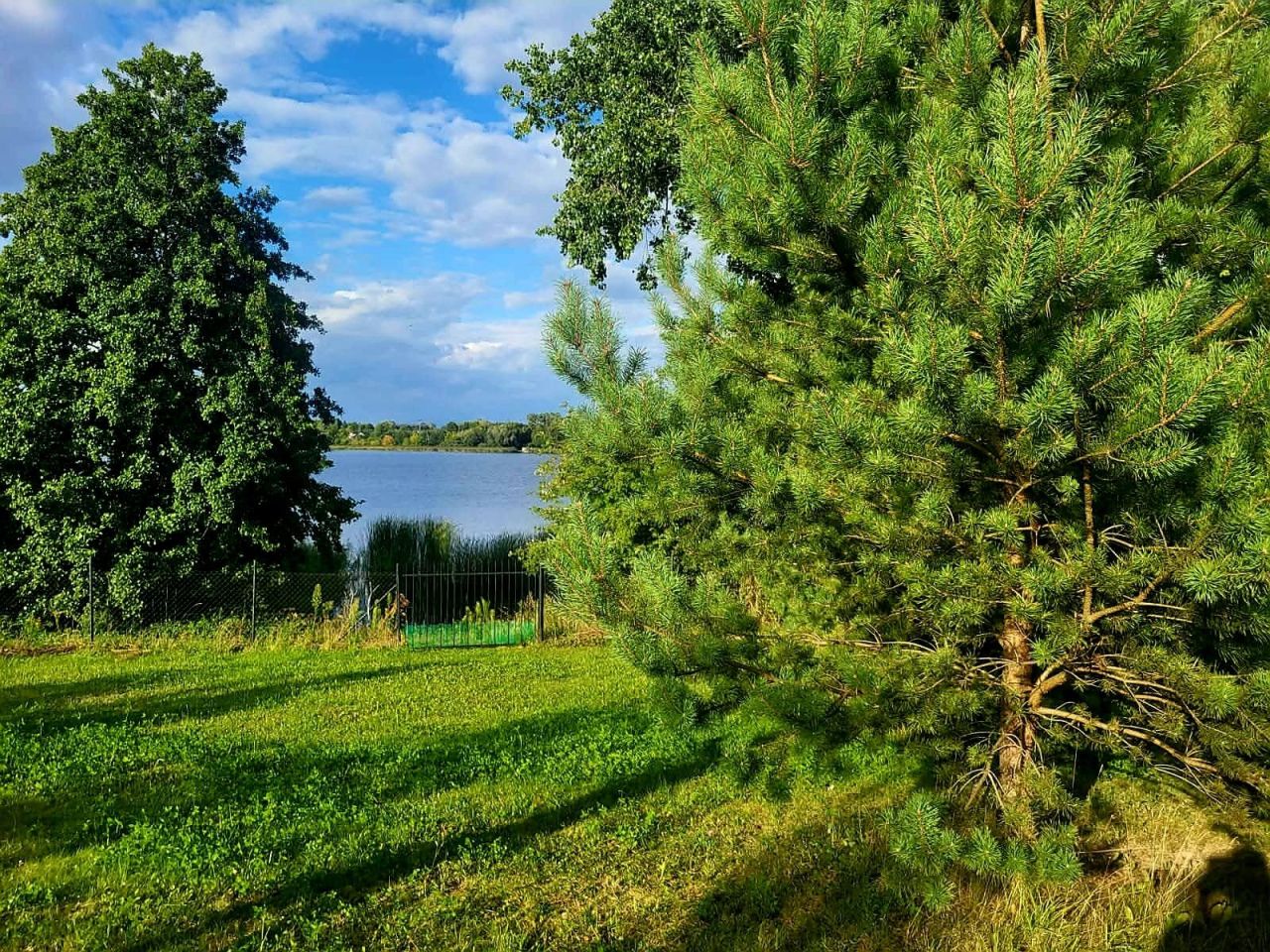 Działka rolno-budowlana Jarczechowo. Zdjęcie 5