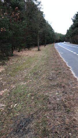 Działka budowlana Wilga Kolonia Wilga. Zdjęcie 1