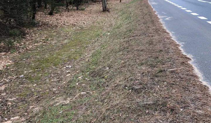 Działka budowlana Wilga Kolonia Wilga