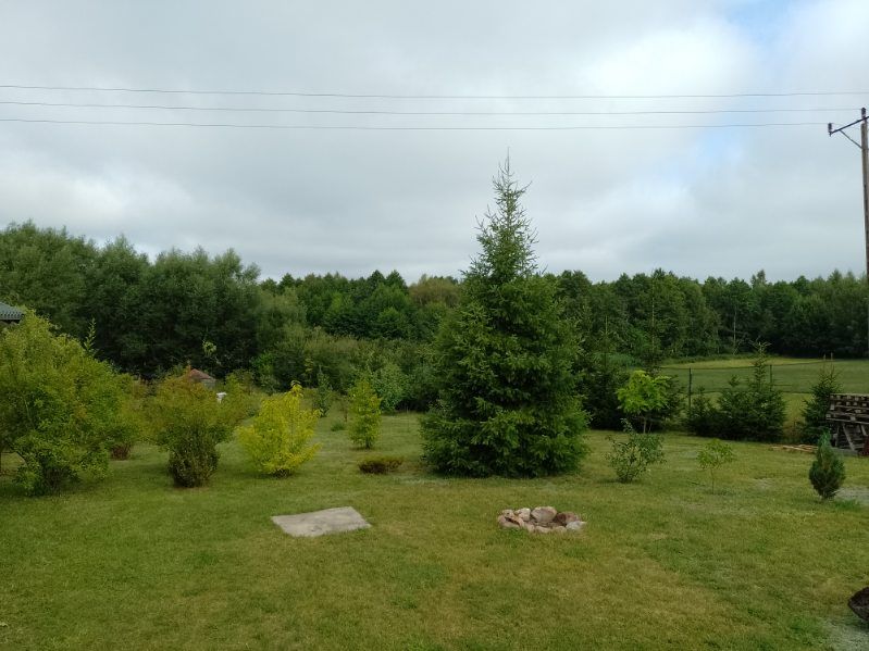 dom wolnostojący, 6 pokoi Wilkasy, ul. Lipowa. Zdjęcie 4