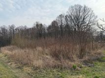 Działka rolno-budowlana Jarosławki. Zdjęcie 1