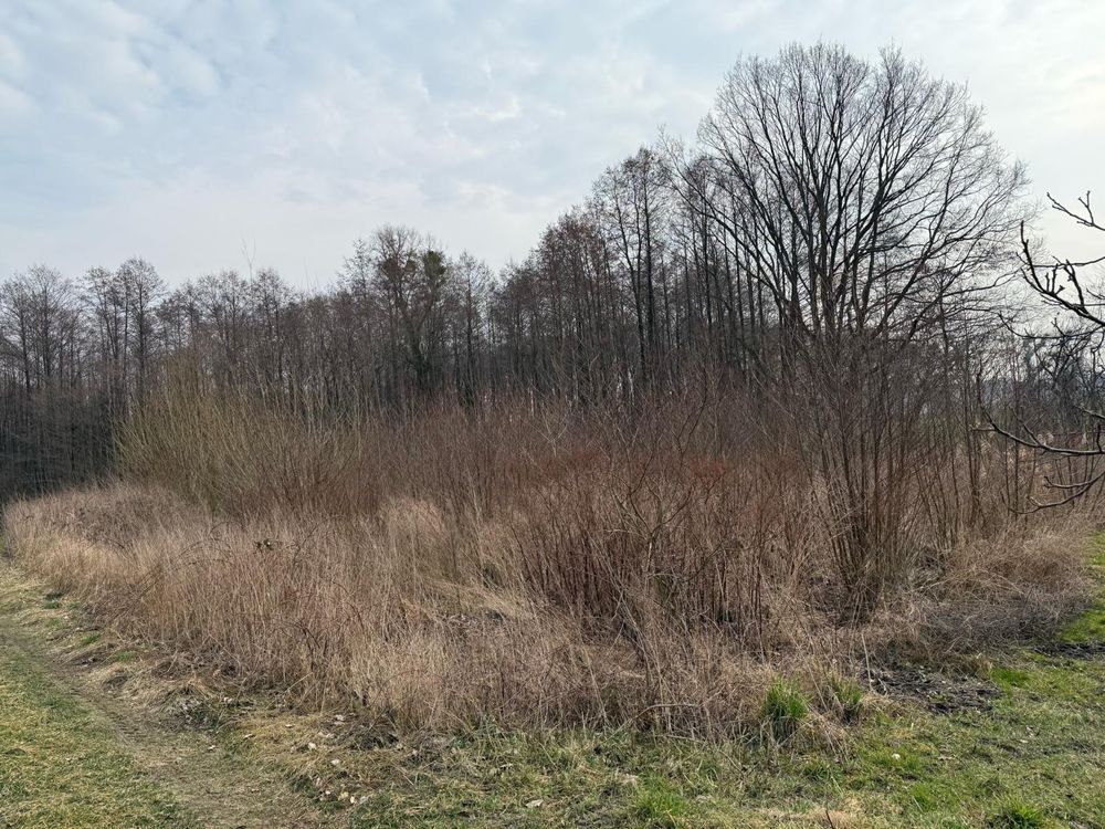 Działka rolno-budowlana Jarosławki. Zdjęcie 2