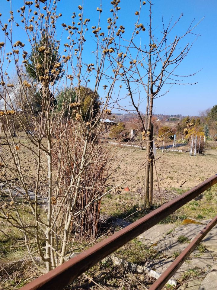 Działka rod Uniszowice. Zdjęcie 7